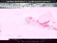 17882 photo